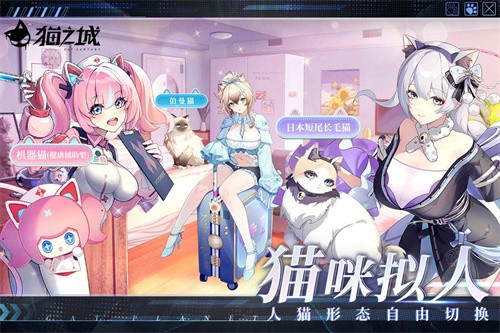 猫之城展示图1