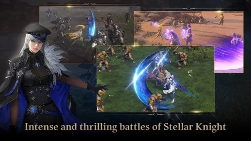 剑星手游Stellar Knight Idle展示图5