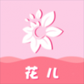 花儿app