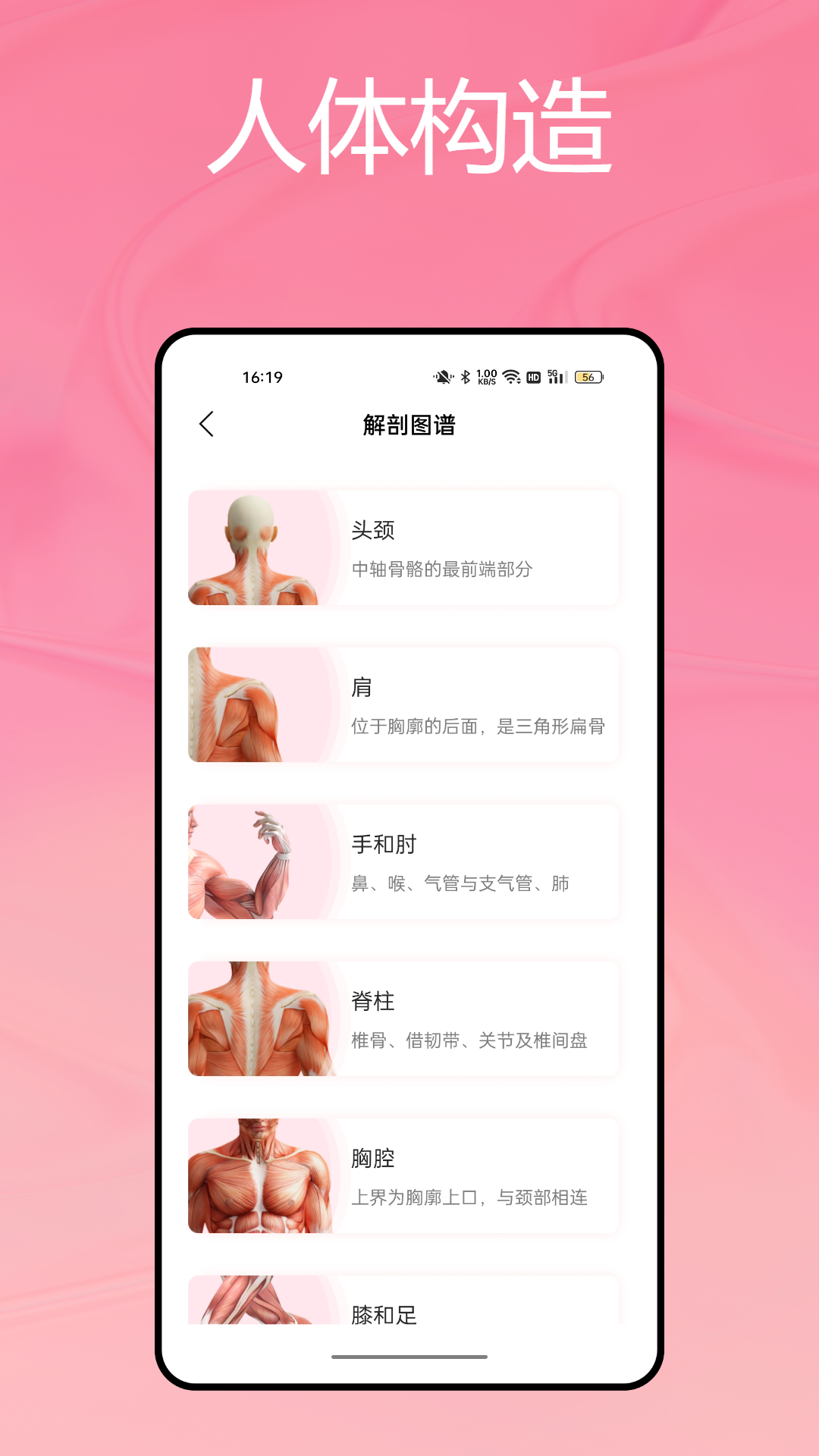 运动解剖app展示图2