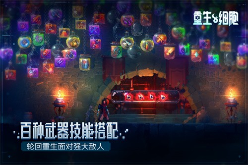 重生细胞展示图4