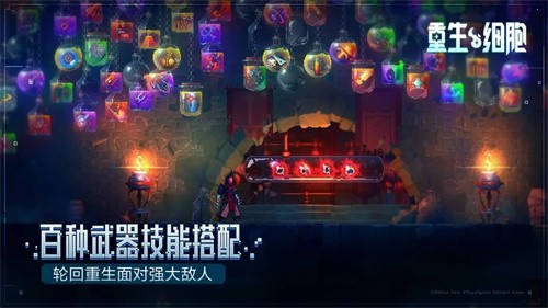 重生细胞无需付费版展示图2