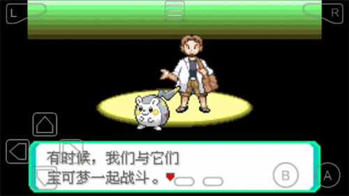 口袋妖怪究极绿宝石展示图1