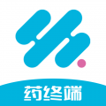 药终端app