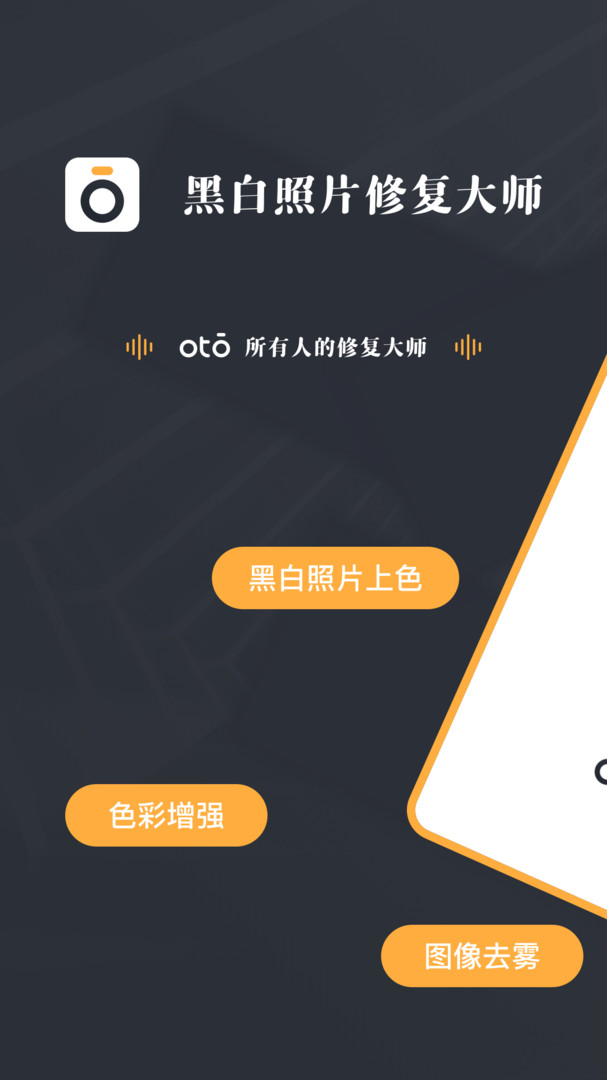 黑白照片修复大师展示图1