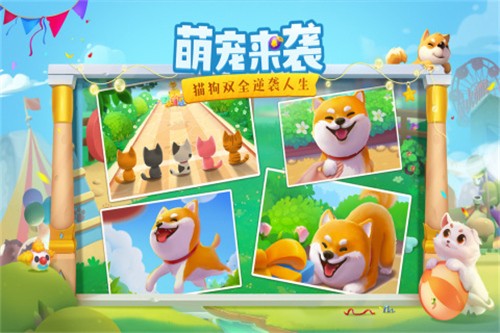 花田小院展示图5