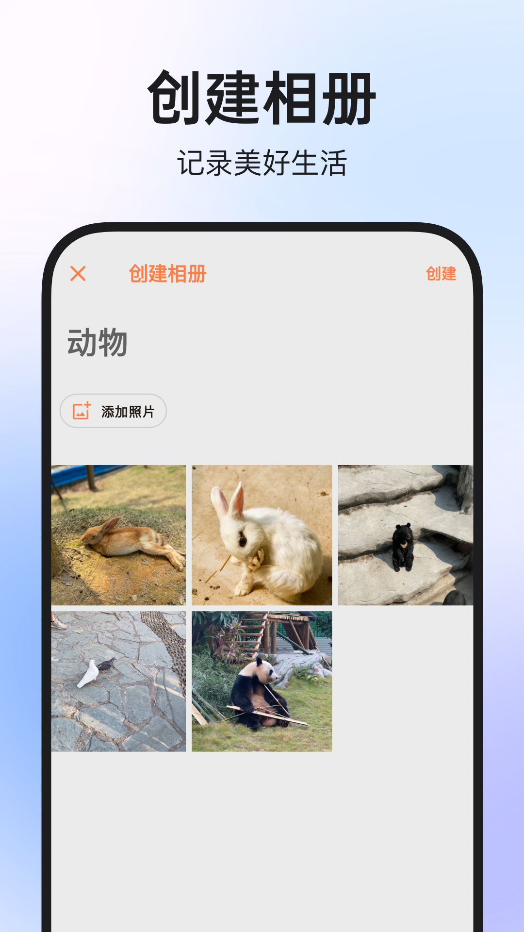 图公主app展示图4