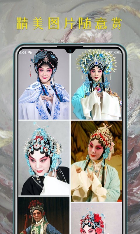 豫剧迷展示图4