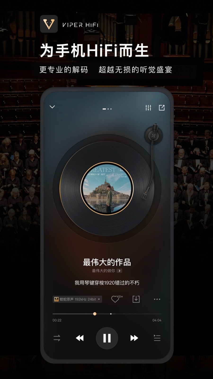 VIPER HiFi展示图1