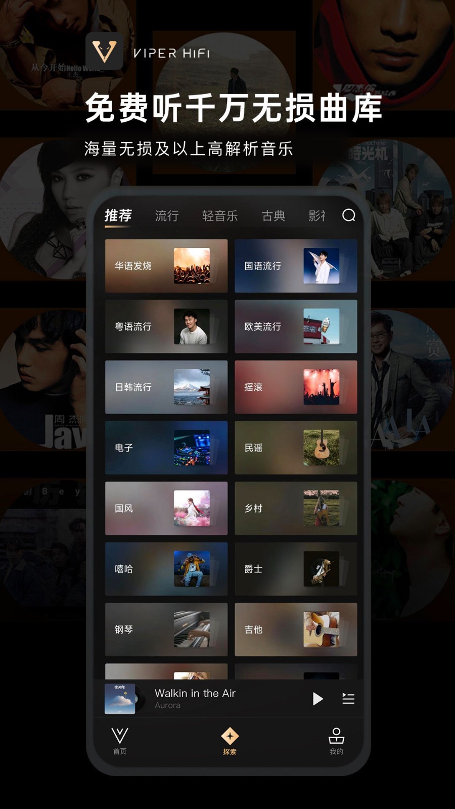 VIPER HiFi展示图2
