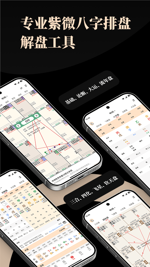 紫微通书展示图3