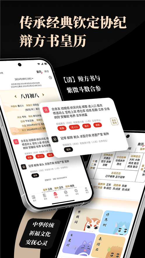 紫微通书展示图2