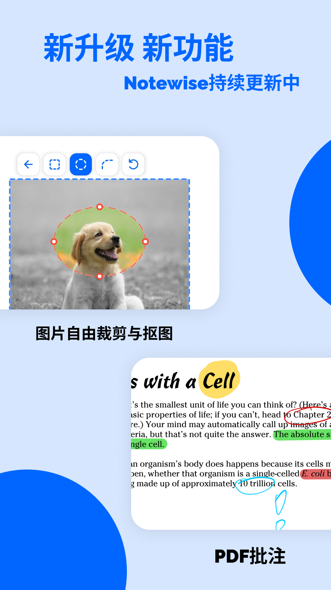 Notewise展示图3