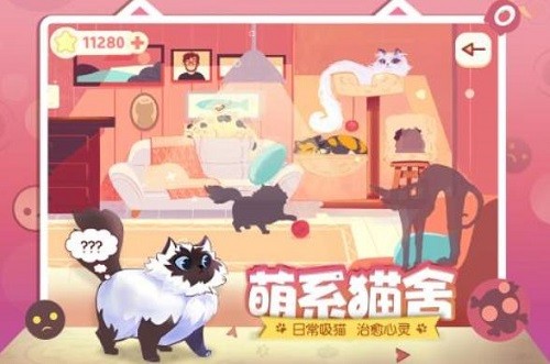 左瞄右喵展示图3