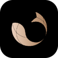 Cachito app