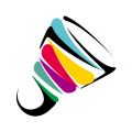 中羽在线app