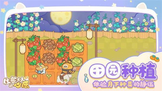 住客大人的心愿展示图1
