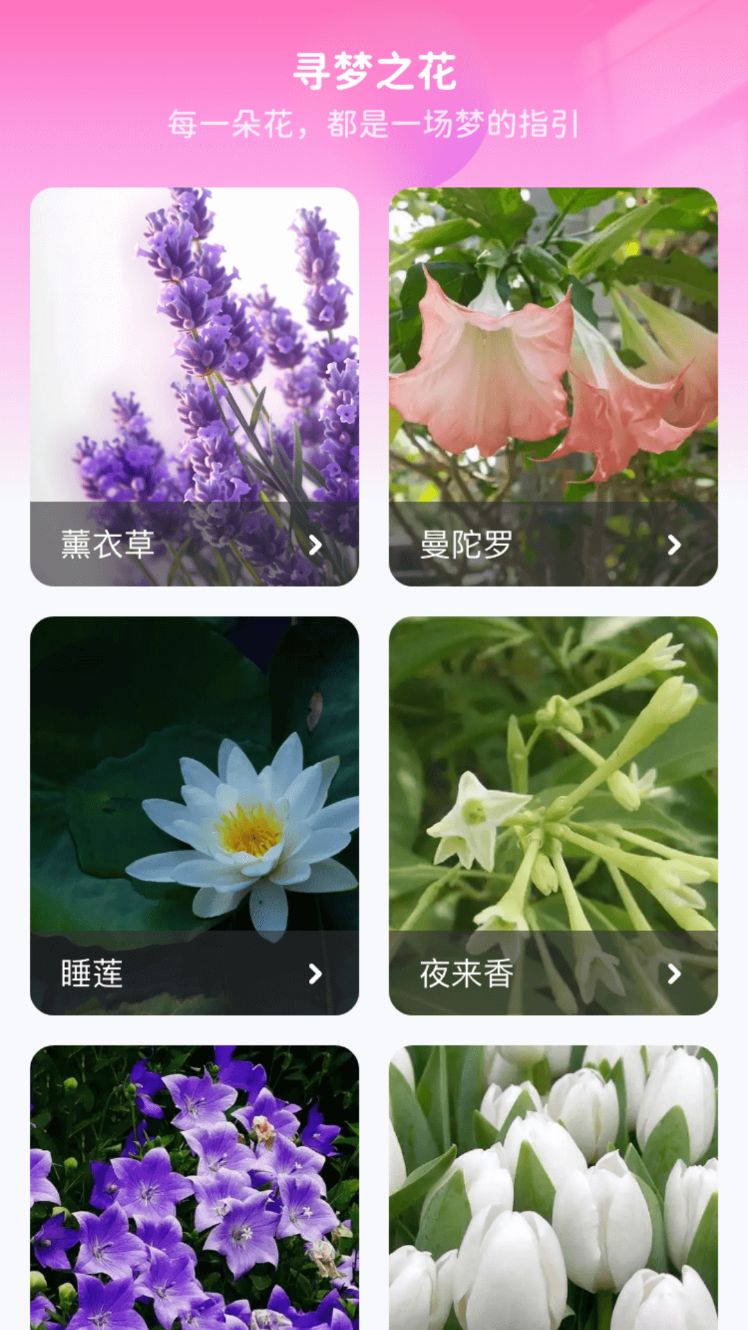 花海寻梦app展示图3