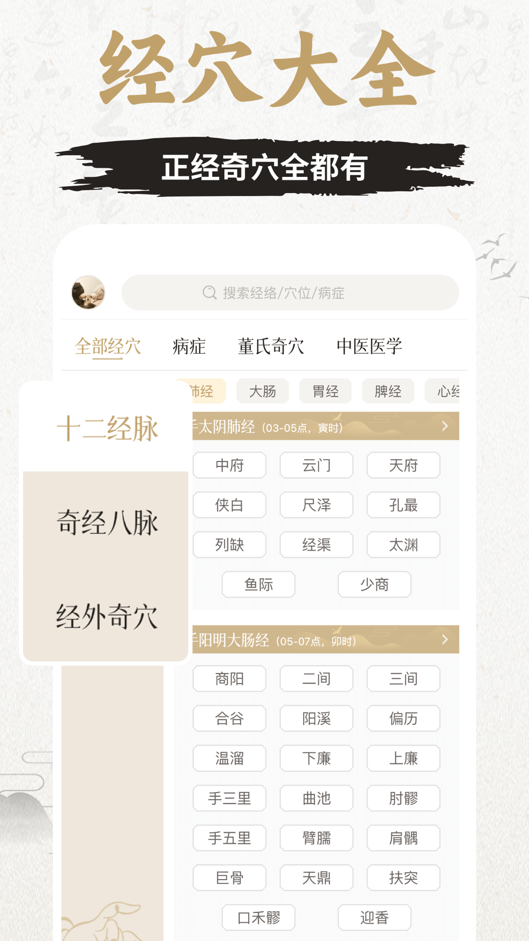 中济经络穴位展示图3