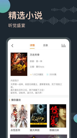 听书王app展示图2
