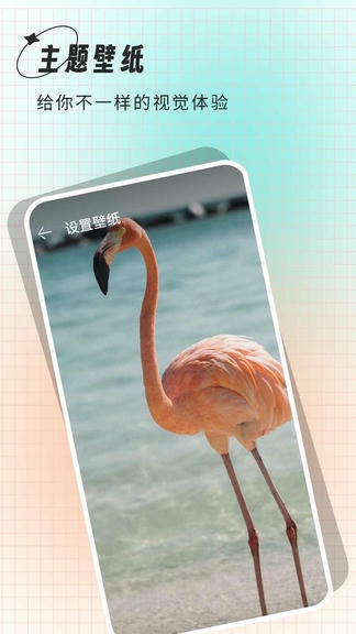 克拉壁纸展示图2