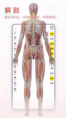 3Dbody解剖展示图3