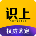 识上鉴定app