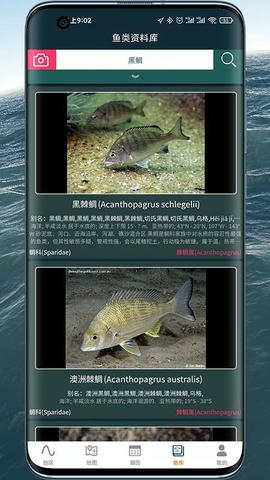 潮汐表精灵展示图4