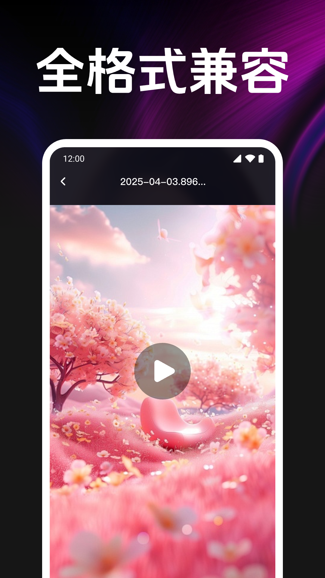 私人影片高清播放器展示图2