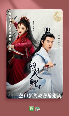 晋江小说阅读展示图4