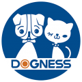 多尼斯app