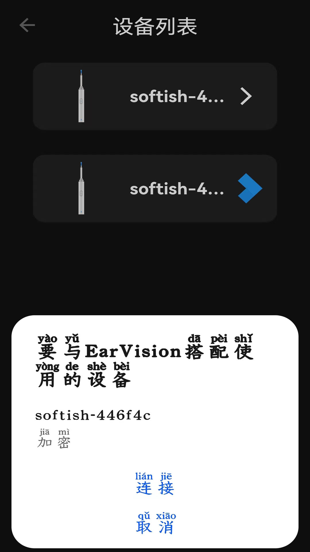 EarVision展示图3