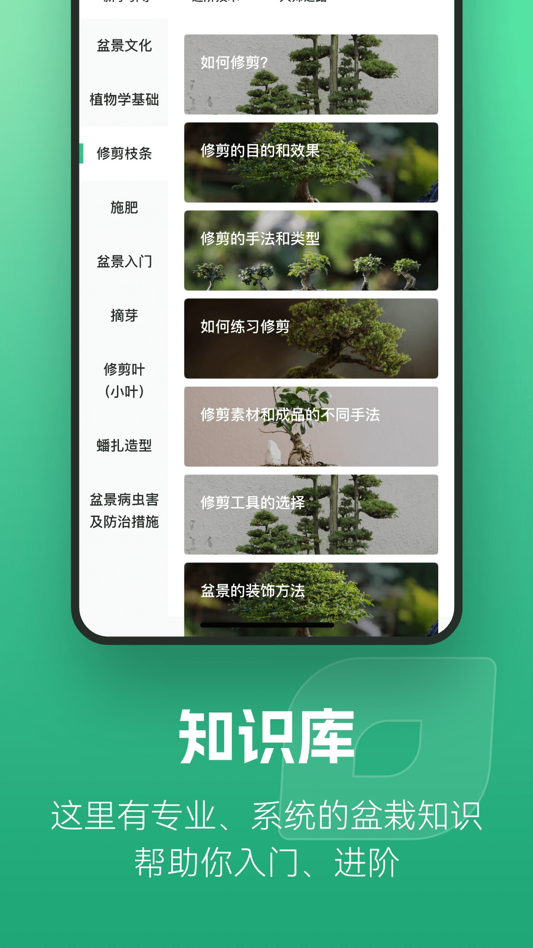 知芽盆栽展示图3