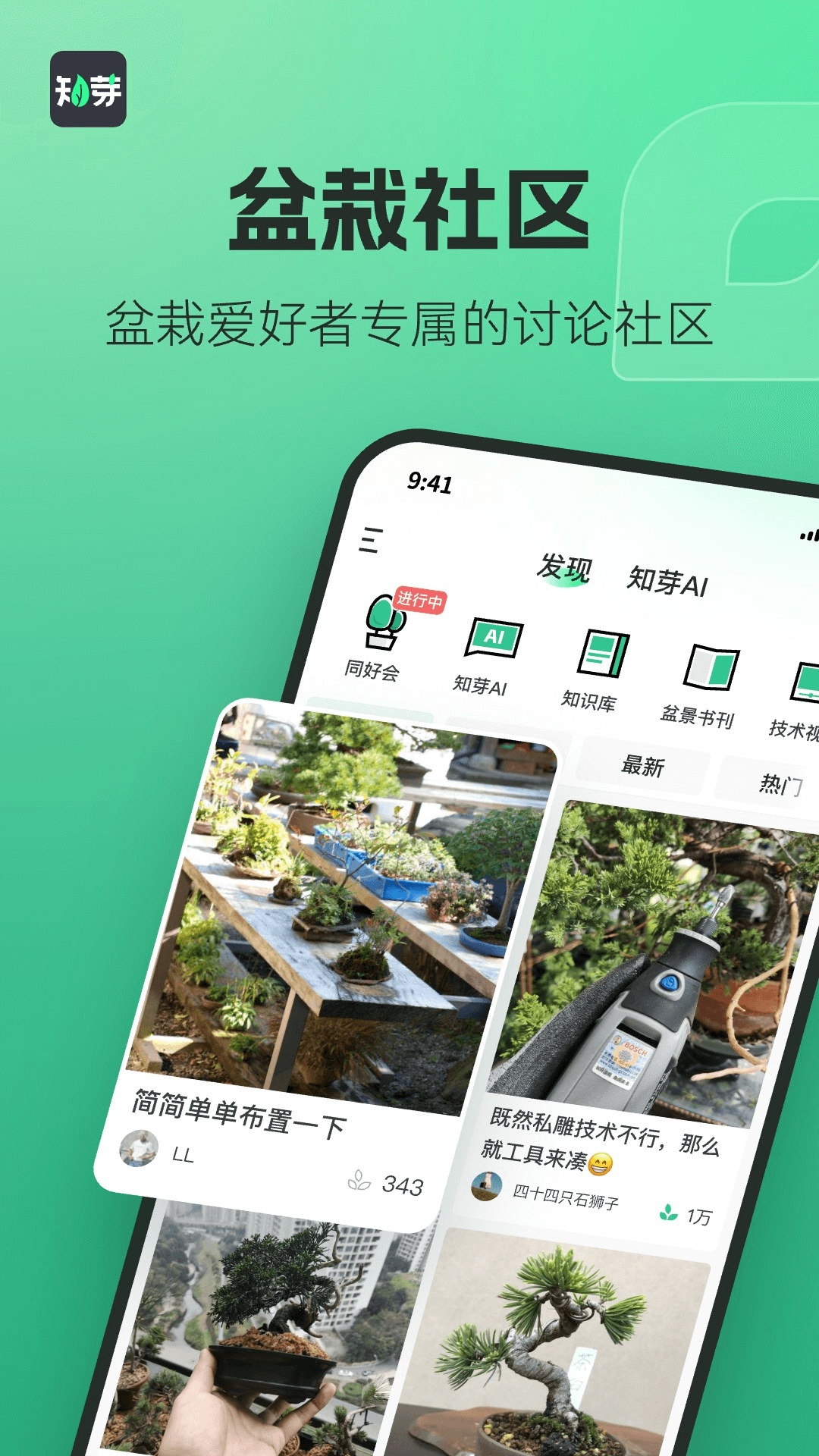 知芽盆栽展示图1