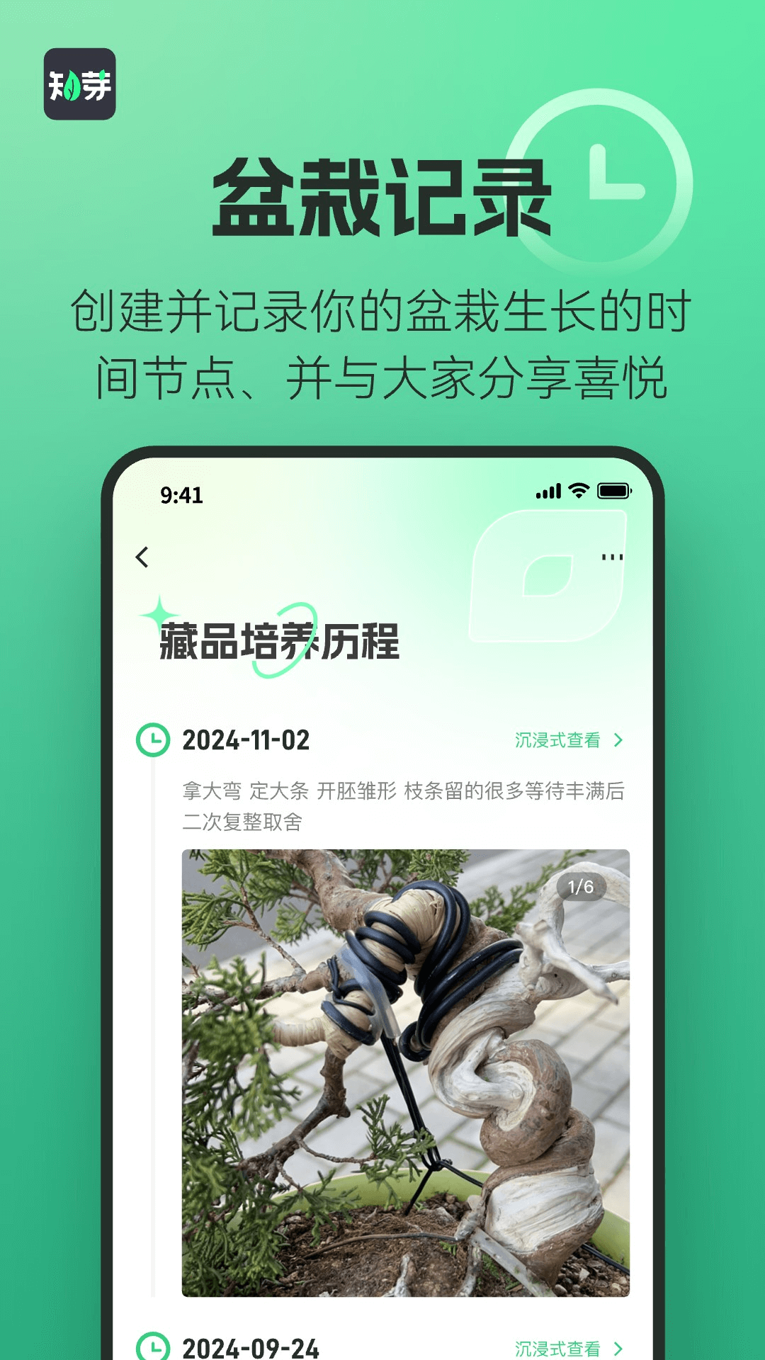 知芽盆栽展示图4