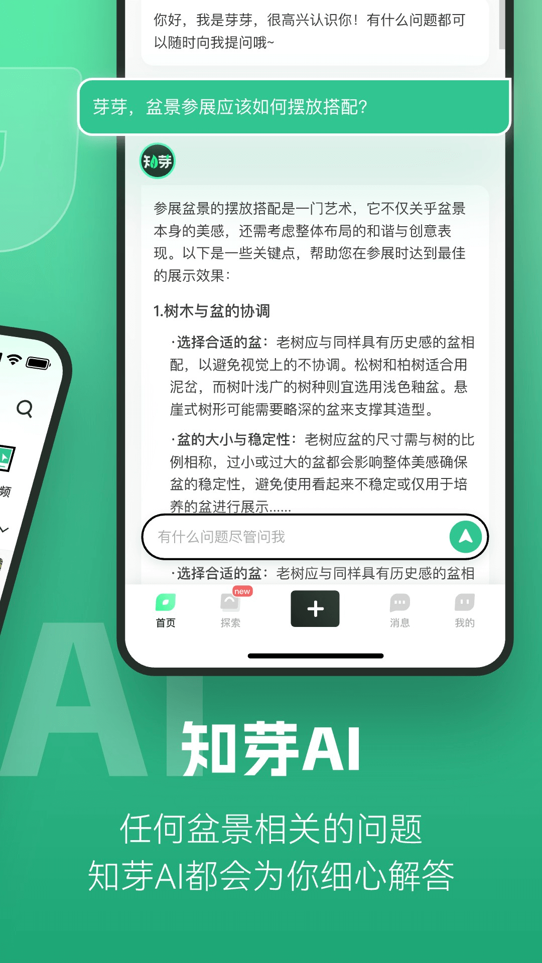 知芽盆栽展示图2