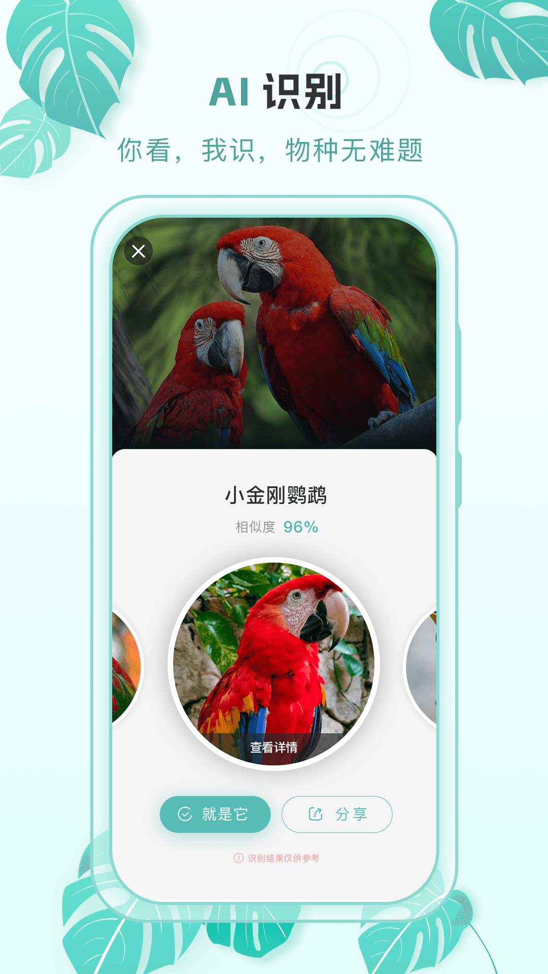 百科物语展示图1
