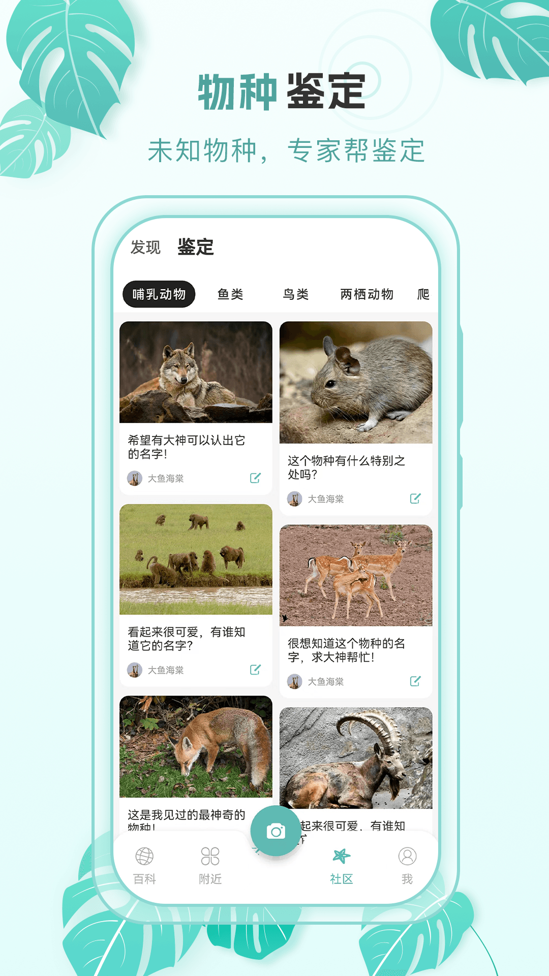 百科物语展示图3