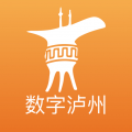 数字泸州app