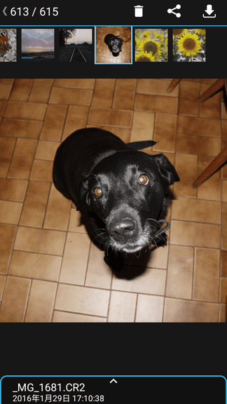 相机连接和控制展示图4