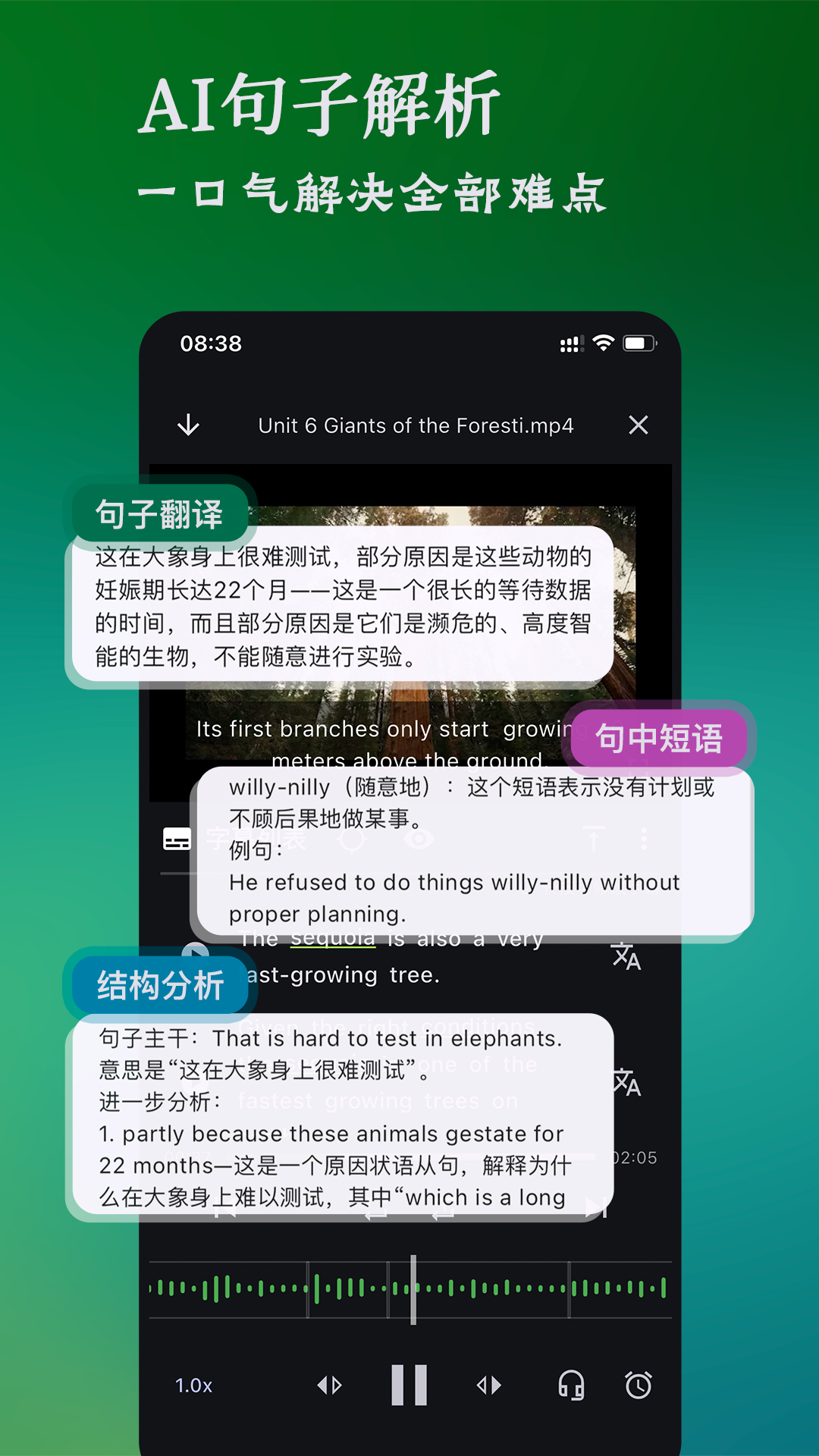 NovaLing展示图4
