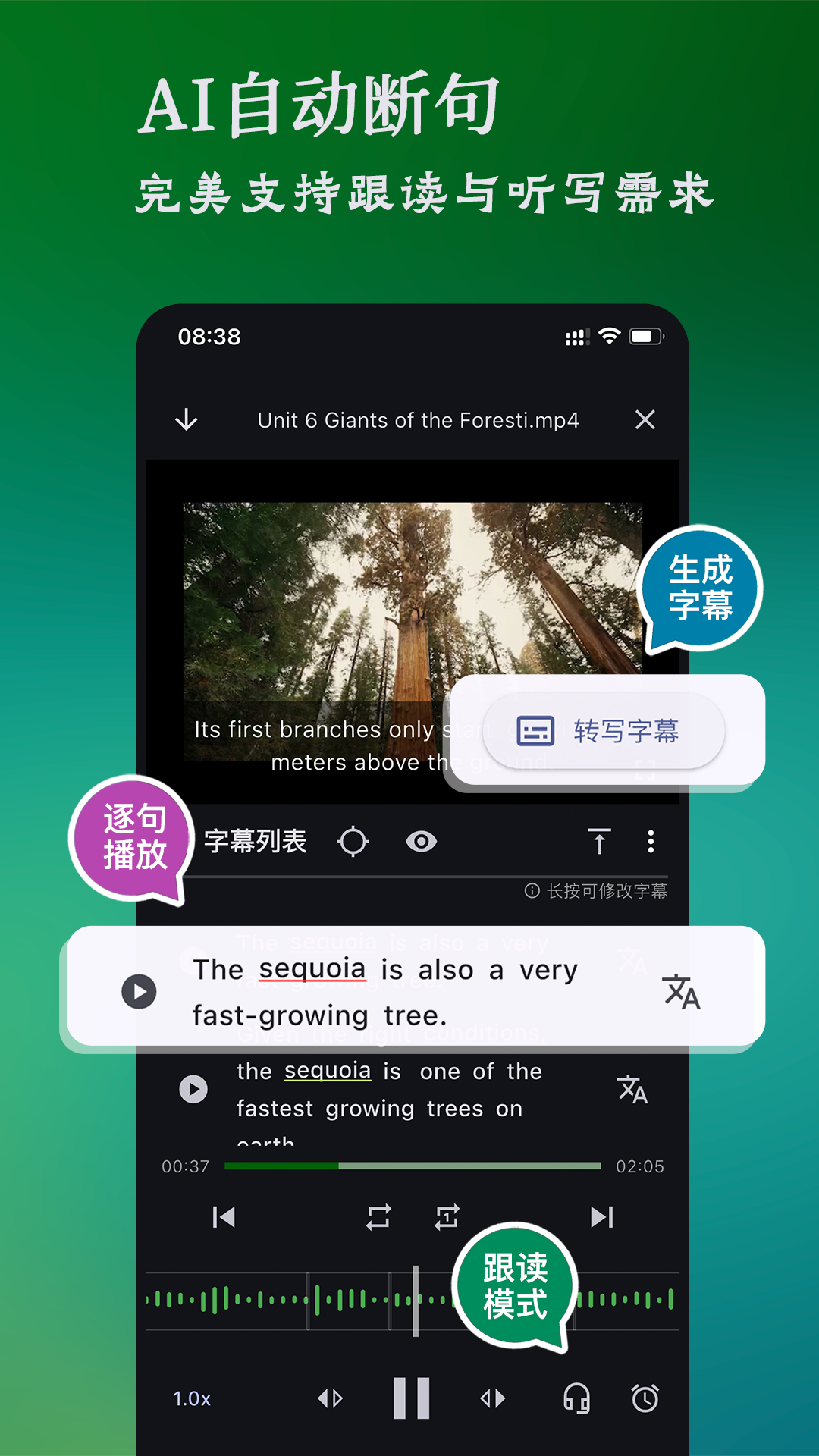 NovaLing展示图3