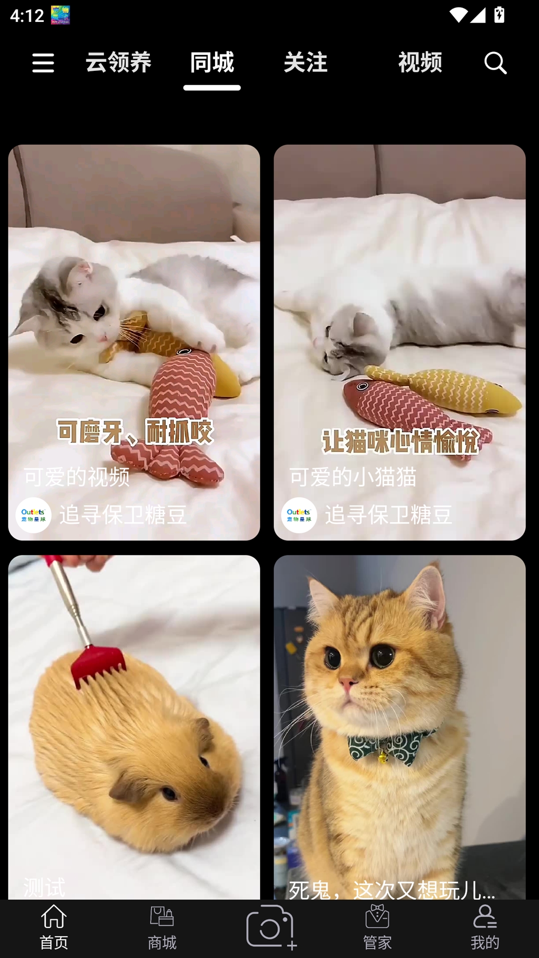 outlets宠物星球展示图2