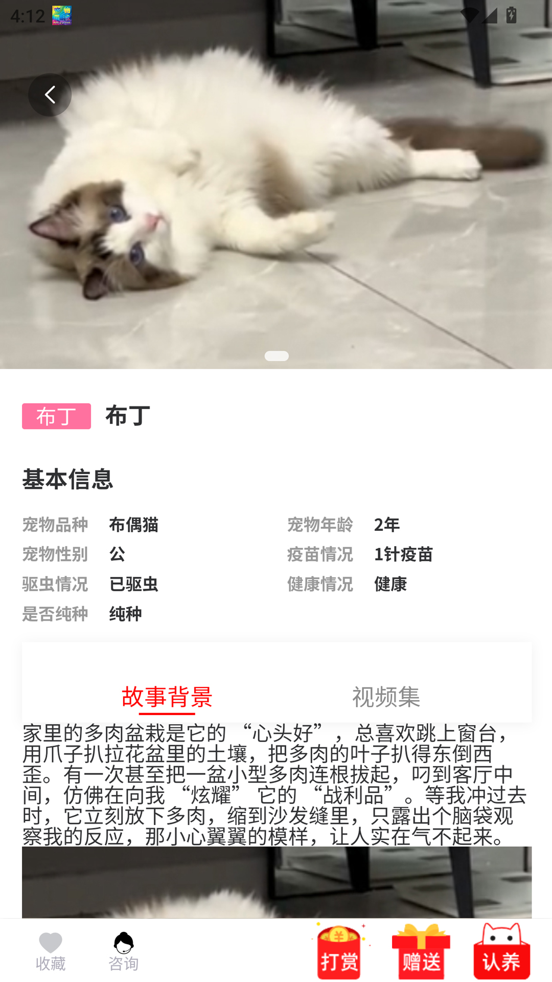 outlets宠物星球展示图4