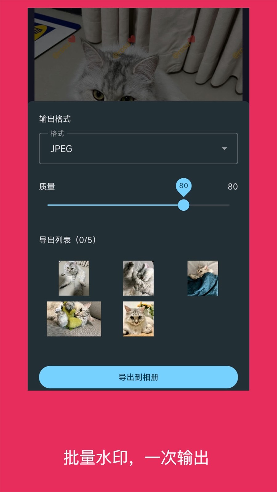 水印照片app展示图4
