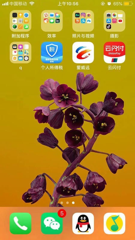 威远融媒app软件展示图1