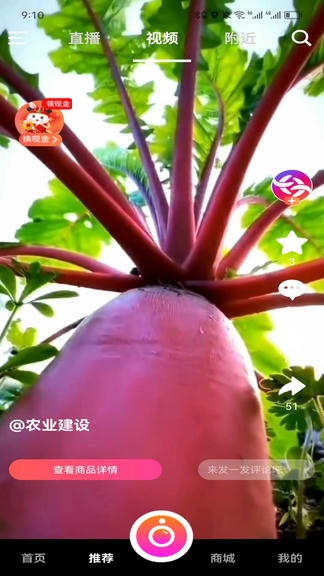 米蕉点视app展示图3