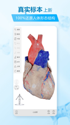 维萨里3D解剖软件展示图1