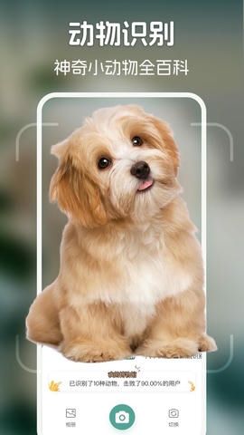 识花君app展示图2