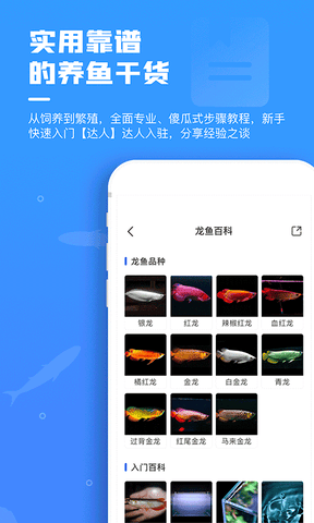 鲲天下app软件展示图3